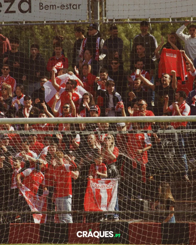 Galeria 20