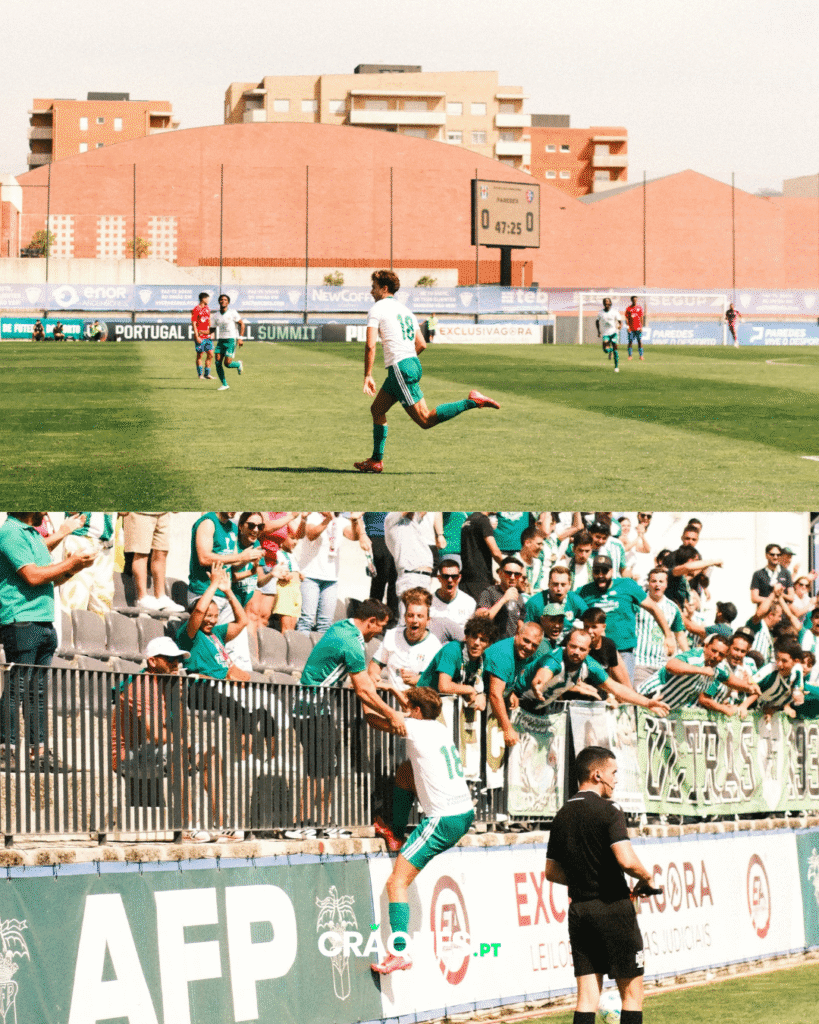 Galeria 14
